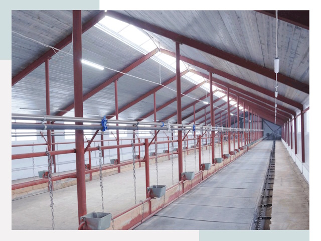 Строительство коровников в Ялуторовске от 620 руб.