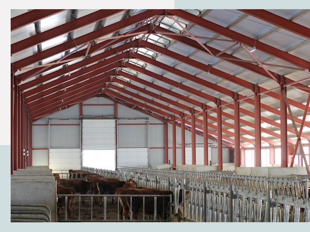 Строительство коровников в Ялуторовске