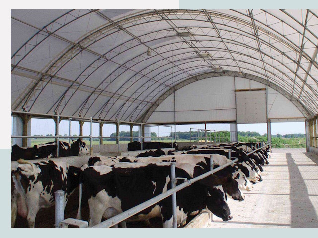 Тентовые коровники в Ялуторовске